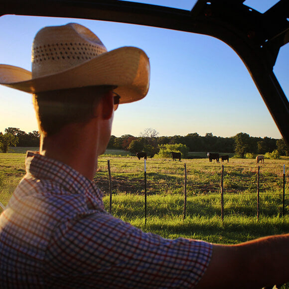 Z Bar Cattle Co photo 5