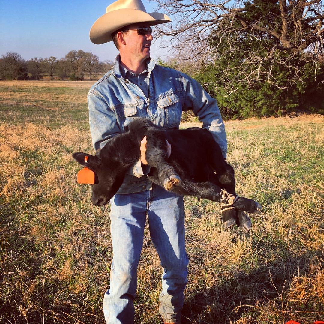Z Bar Cattle Co photo 14